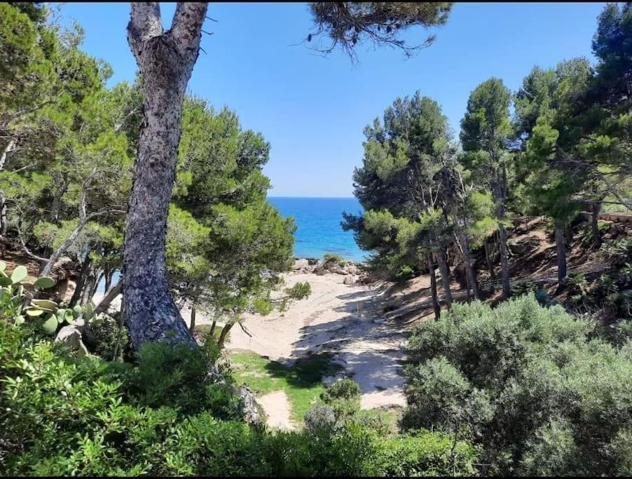 Villa Climatisee Bord De Mer Avec Piscine Privee Miami Playa Esterno foto