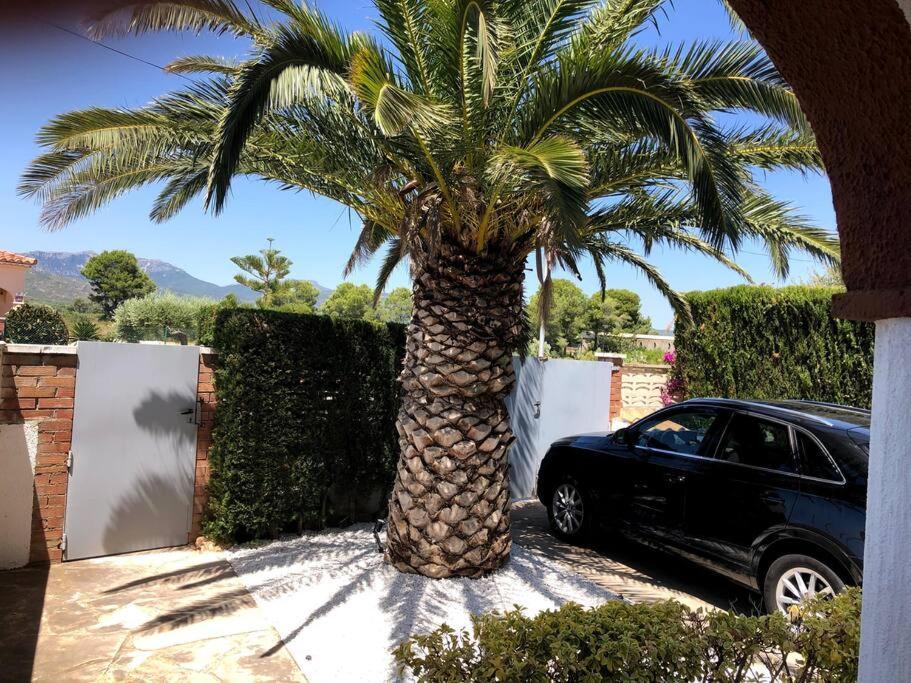 Villa Climatisee Bord De Mer Avec Piscine Privee Miami Playa Esterno foto